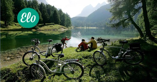 Elo