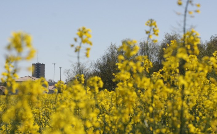 Le 19 vu de Buxerolles en avril 2020